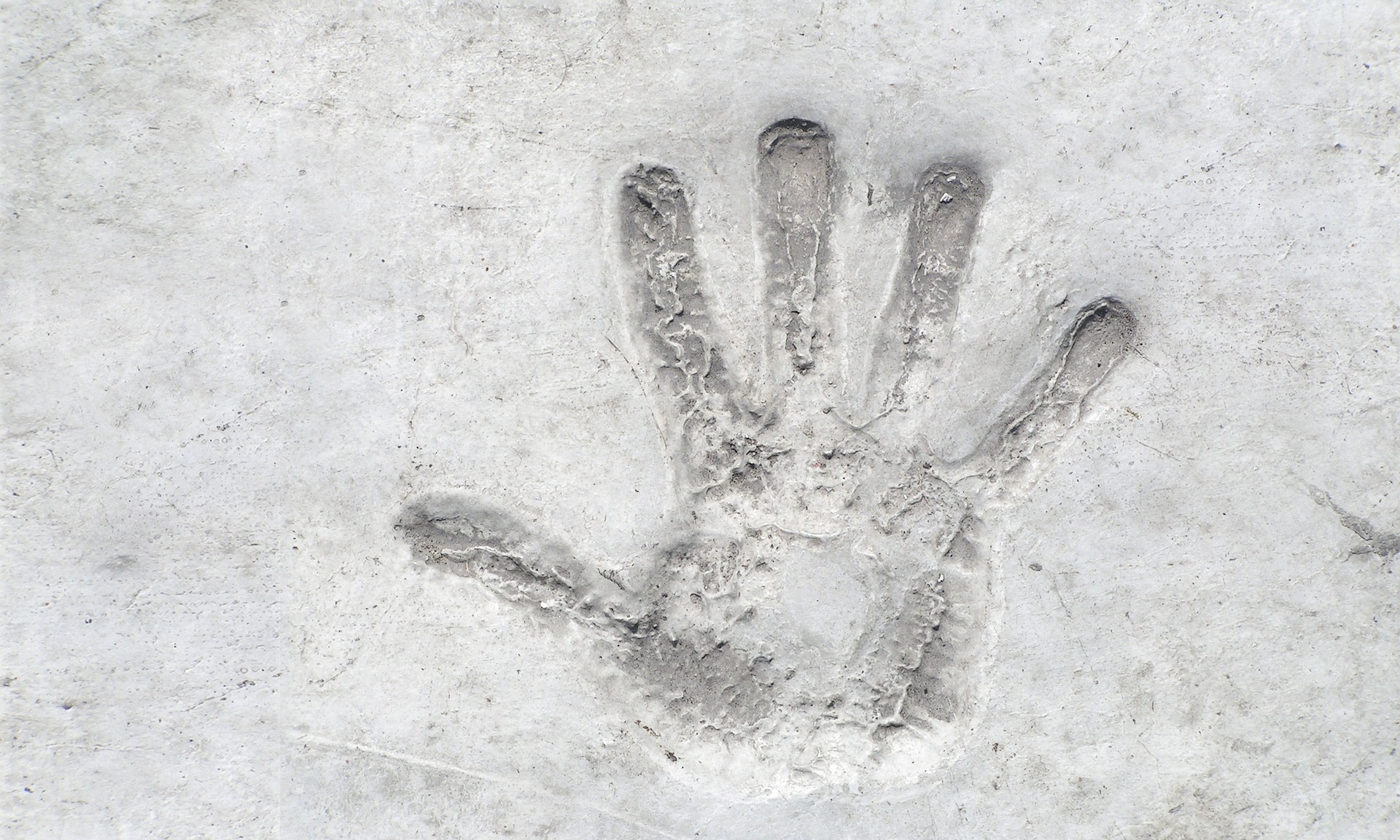 Empreinte de l'inclusion du NOUS conscient, courageux et humble.